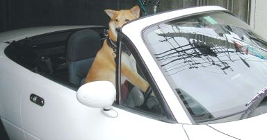 ���₢���킹